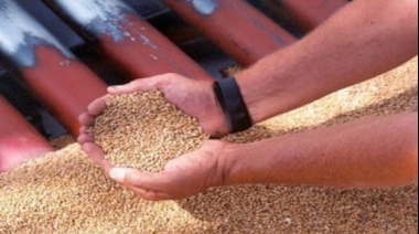 Milei prometió seguir bajando retenciones y enviar una nueva Ley de Semillas al Congreso