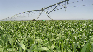 El RIMI marca nuevas oportunidades para las Inversiones Agroindustriales