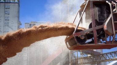 El agro argentino exportó USD 50.549 millones en 2025, un 9,3% más que el año anterior