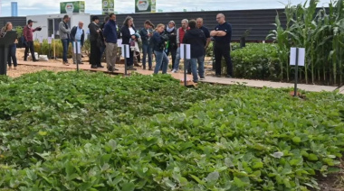 El INTA muestra innovación, genética y tecnología en Expoagro