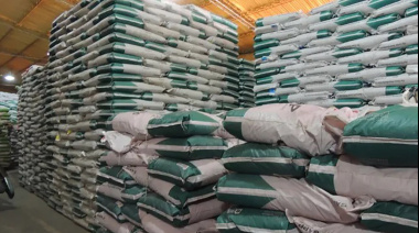 Desregulación semillera: Adelantan importantes novedades al sector