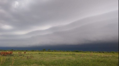 Se reactivó el movimiento de compra de campos en la región núcleo