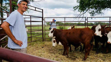 Cómo son las prácticas ganaderas innovadoras en La Pampa que ya regeneran suelos y pastizales