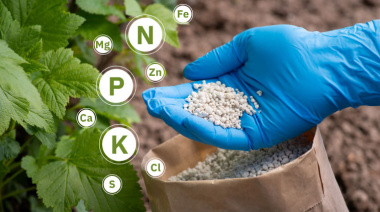 La importación de fertilizantes marcó su segundo mayor volumen en 2025