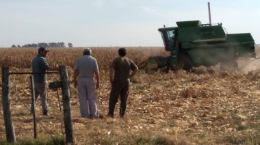 Los salarios rurales tendrán un aumento segmentado de hasta 9,2% hasta mayo