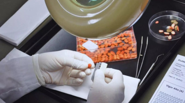 Evaluar la viabilidad de las semillas define el éxito del ciclo