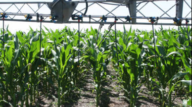 Por el conflicto de Medio Oriente los fertilizantes aumentaron 40%