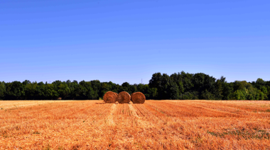 El Índice de Confianza del Empresario Agropecuario consolida su recuperación