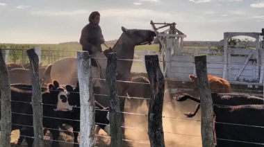 ¿“Hombre de campo” o empresario digital? El nuevo rol del productor agropecuario