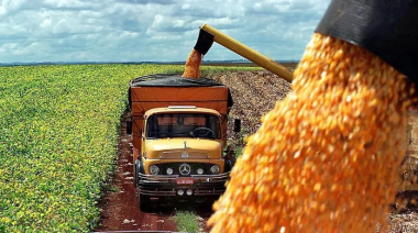 Anuncian la primera exportación en la historia de maíz argentino a China