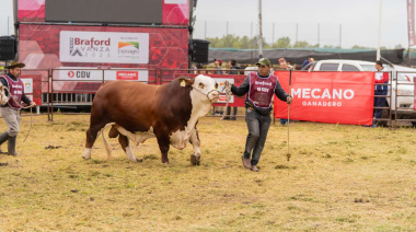 El boom ganadero motoriza inversiones: 82% de los productores cree que es buen momento para realizarlas