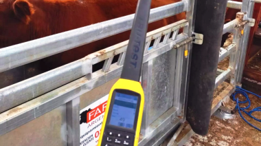 La identificación individual electrónica redefine la toma de decisiones