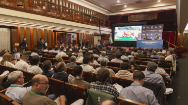 Remate récord en Banco Nación con más de 36.000 cabezas