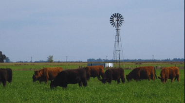 El INTA impulsa una jornada para posicionar la carne de sistemas pastoriles en el mercado