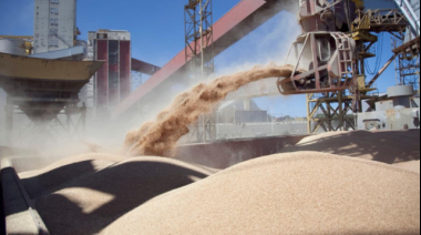 Se abrió la inscripción para exportadores de granos de cebada, trigo, soja, sorgo y maíz a China