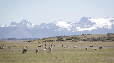 Plan binacional: comienza un ambicioso programa para regenerar 150.000 hectáreas