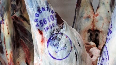 Las ventas externas de carne vacuna aumentaron en marzo más de 36%
