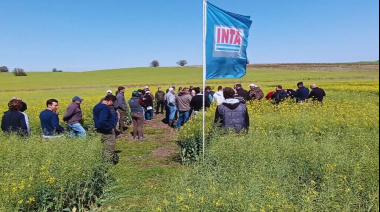 Provincia de Buenos Aires pidió el traspaso de tierras del Inta para destinarlas a investigación