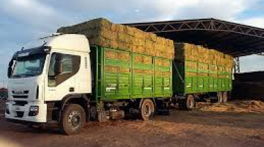 Alfalfa pampeana a Emiratos Árabes