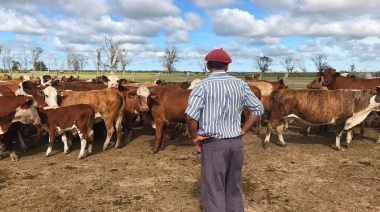 El Renatre aumentó la prestación por desempleo otro 2%