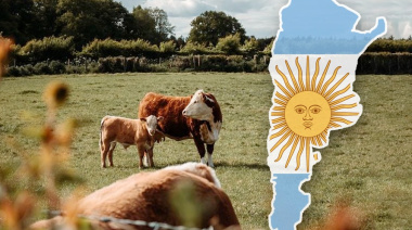 Ganadería argentina: “La dopamina está por las nubes” y crecen las expectativas por el boom del sector cárnico