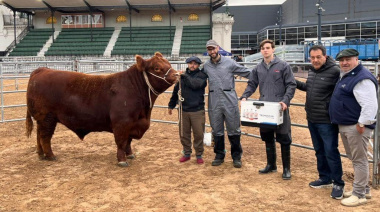 “Paulino” abrió la pista y los Angus ya viven su fiesta de otoño en Palermo, con récord de inscriptos