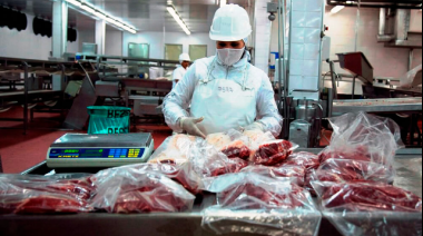 La Secretaría de Agricultura abrió la inscripción para la distribución de la cuota Hilton