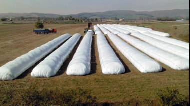 Un proyecto de ley propone penar con hasta 8 años de prisión los ataques a silo bolsas