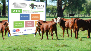 Lanzarán el sello de Certificación de Carne Sustentable Argentina (MACS)