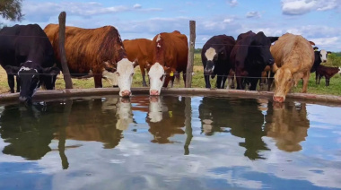 Pautas para el uso seguro de agua subterránea en ganadería