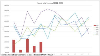 Faena argentina: sigue la tendencia a la baja, aunque se atenuó en mayo