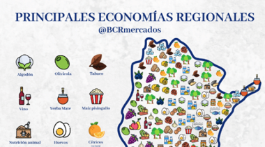 Economías regionales: Las exportaciones crecieron 36% en el primer cuatrimestre de 2026