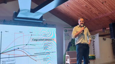 Integración agrícola-ganadera: la receta de Aapresid para producir carne, cuidar el suelo y mejorar la rentabilidad
