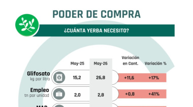 Monitor insumo-producto: la soja cierra el ciclo 25/26 con señales mixtas