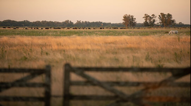 Un proyecto de ley busca destinar el 65% del impuesto inmobiliario rural bonaerense a la mejora de caminos