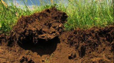 El INTA deja recomendaciones para disminuir el impacto en los recursos por las lluvias en zonas semiáridas