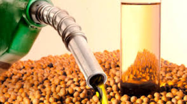 Se actualizó el precio del biodiésel para la mezcla obligatoria con gasoil