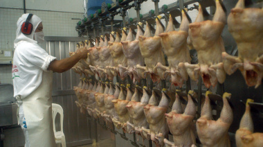 El pollo alcanzó un consumo récord y ya compite de igual a igual con la carne vacuna