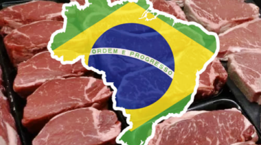Brasil creó un protocolo de certificación para sus exportaciones de carne