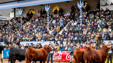 Angus vuelve a ser la raza más convocante de la Exposición Rural de Palermo 2026