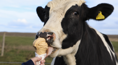 Detrás de un “Helado Grido” hay una fuerte apuesta a tambos con bienestar animal y Buenas Prácticas Climáticamente Inteligentes: «La calidad del helado comienza en la leche»