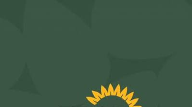 El girasol consolida un crecimiento récord global y el complejo argentino duplica sus exportaciones con molienda histórica