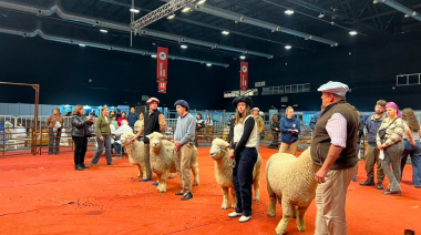 Con formación para jóvenes, la raza Romney Marsh abrió su participación en la Expo Rural 26