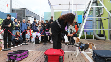 Brigada canina en Palermo