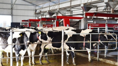 La producción de leche desaceleró su crecimiento en junio