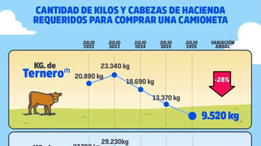 Se necesitan menos kilos de hacienda para comprar una camioneta: el mejor poder de compra de los últimos cinco años