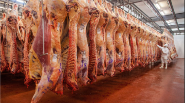 Carnes: para lo que resta de año se espera una suba de precios, continúa la caída del consumo y crecen las exportaciones