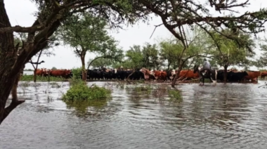El Niño: recomiendan anticipar medidas en los sistemas ganaderos