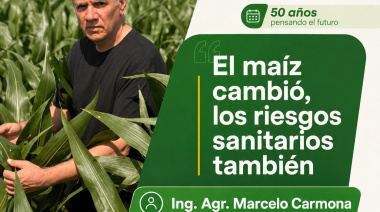 El maíz cambió. Los riesgos sanitarios también.