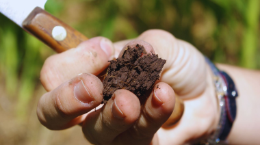 La estructura laminar, una limitante silenciosa que desafía la salud del suelo